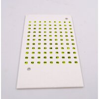 Opalite Plate Drawing Plate for Queen Bee Year Colour Yellow (2017, 2022, 2027)