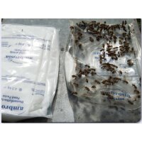 Ambrosia Bienenfutterteig Portionspackungen 5 x 2,5kg im Karton
