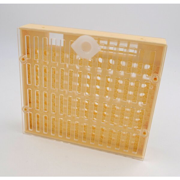 Plastic queen rearing system